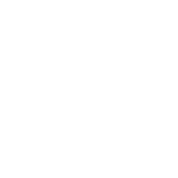 ce logo Wellington