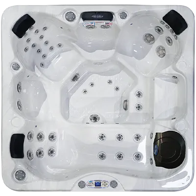 Avalon EC-849L hot tubs for sale in Wellington