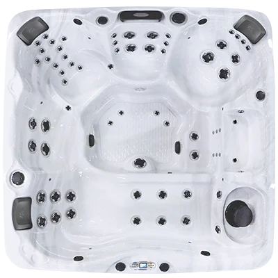 Avalon EC-867L hot tubs for sale in Wellington